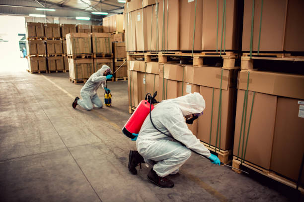 Best Pest Control Treatment  in Robinwood, MD