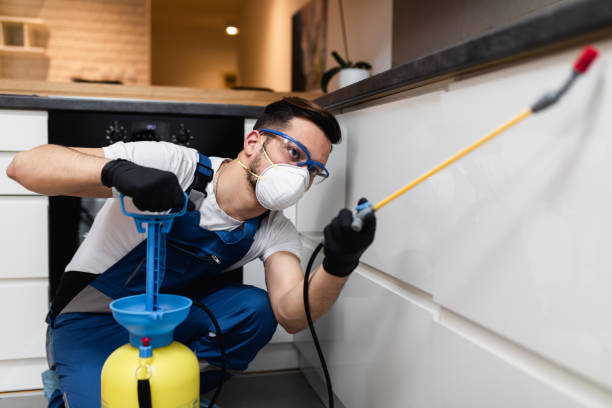 Best Termite Control Services  in Robinwood, MD