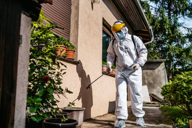 Best Bed Bug Extermination  in Robinwood, MD