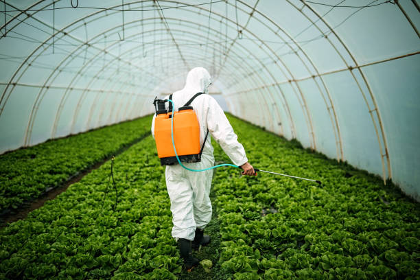 Professional Pest Control in Robinwood, MD