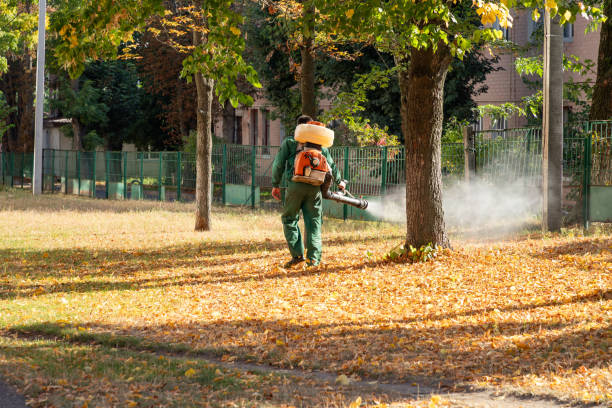 Bird Control in Robinwood, MD