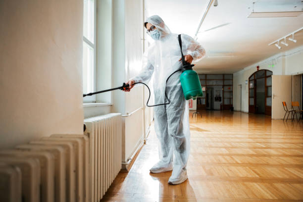 Best Insect Control  in Robinwood, MD